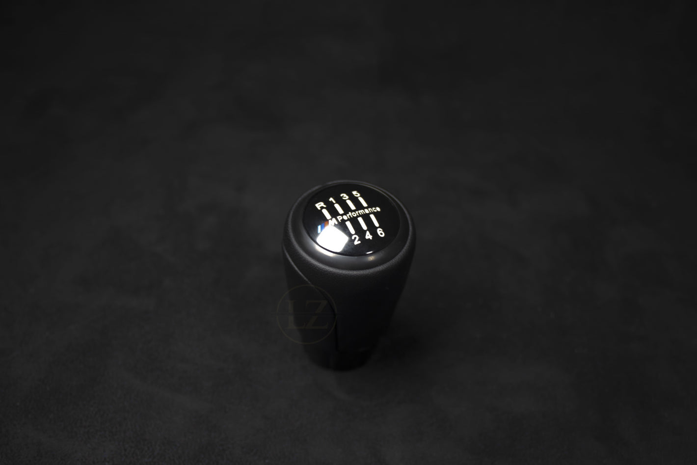 BMW Skinn Girkule/Girspak Manuel - LZ-Customs