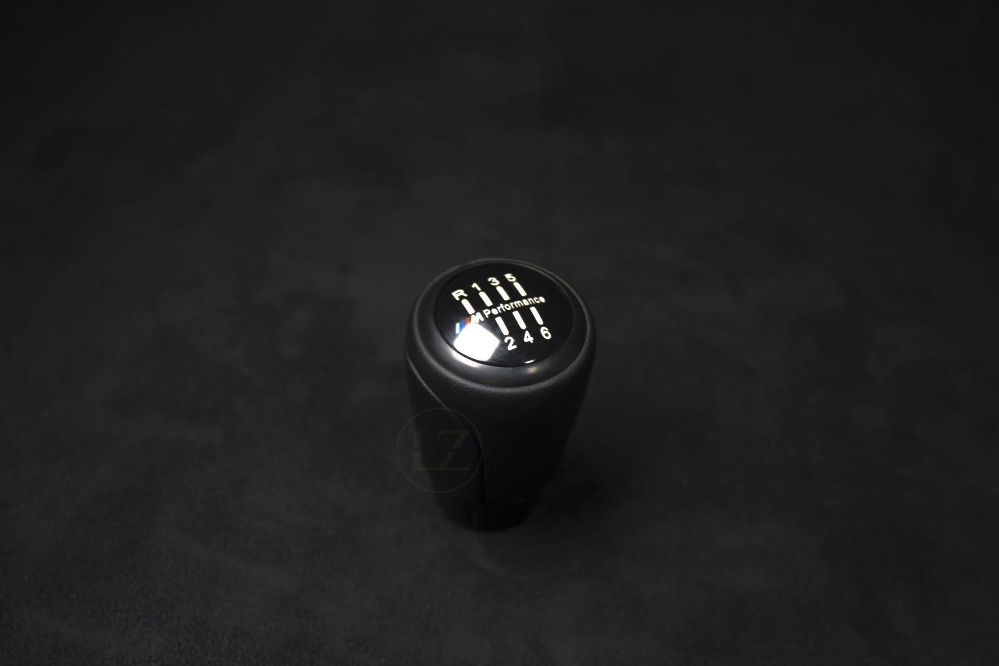 BMW Skinn Girkule/Girspak Manuel - LZ-Customs