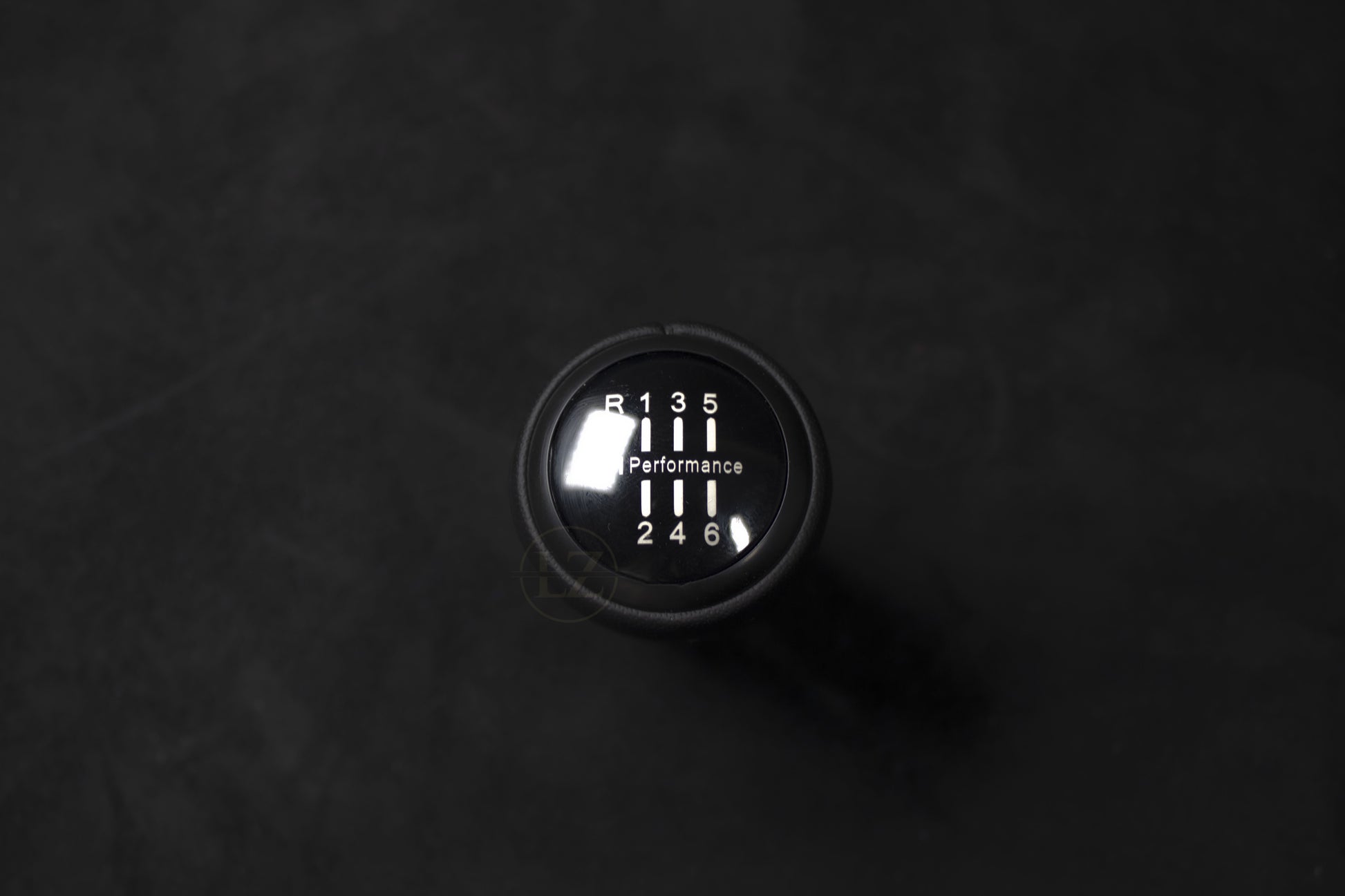 BMW Skinn Girkule/Girspak Manuel - LZ-Customs