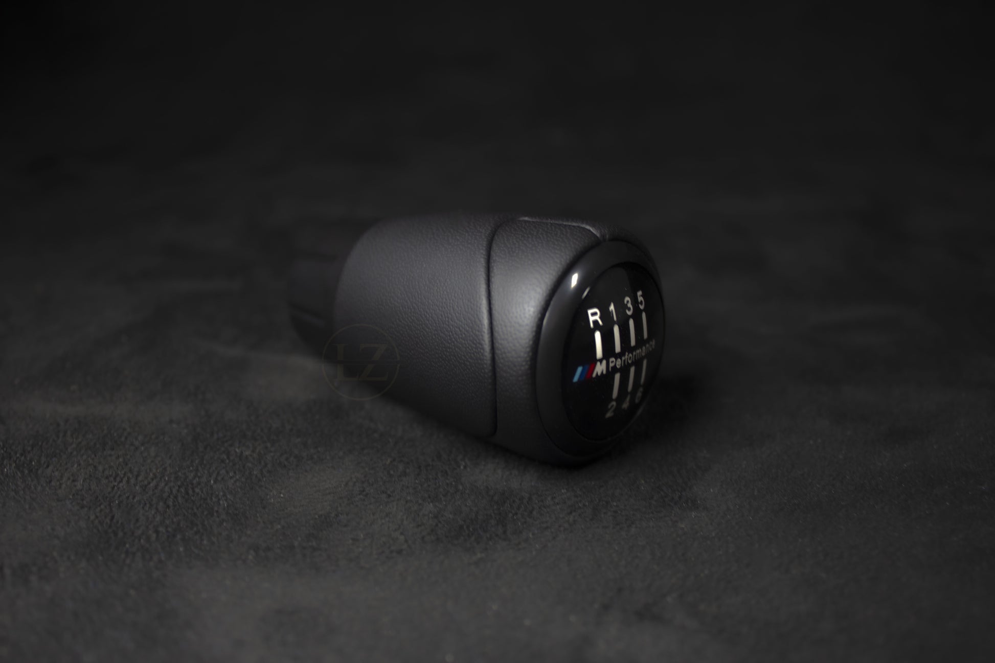 BMW Skinn Girkule/Girspak Manuel - LZ-Customs