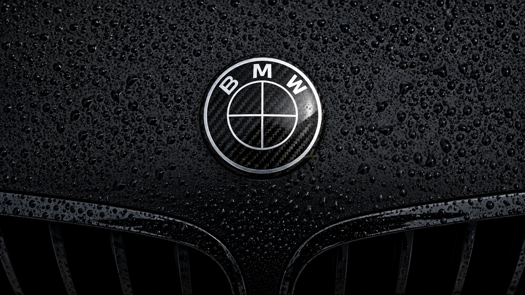 BMW Carbon Emblemer - LZ-Customs