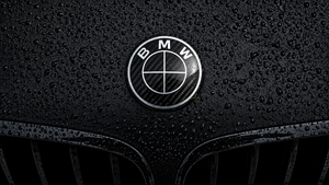 BMW Carbon Emblemer - LZ-Customs