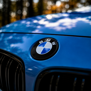 BMW OEM+ Emblemer - LZ-Customs